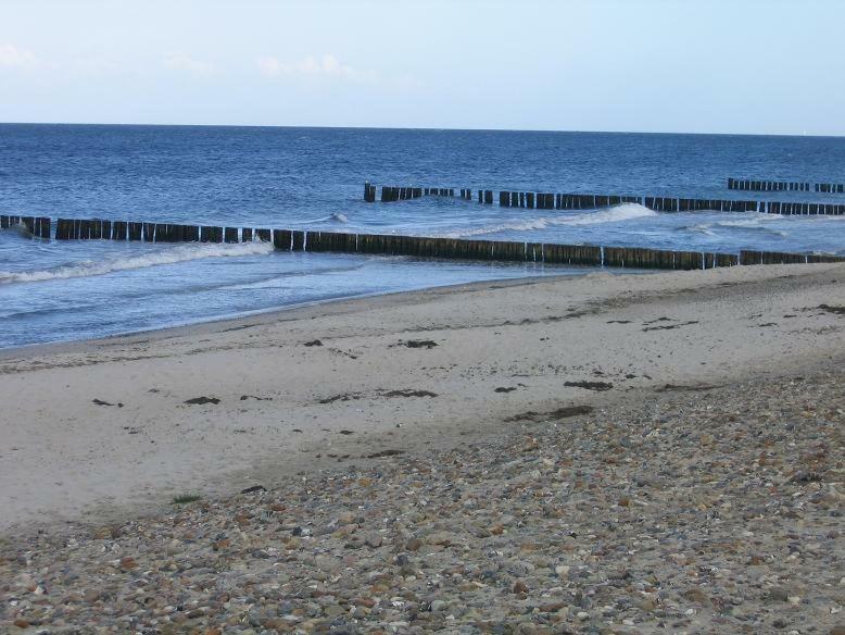 "Strand-Gut" Бёргеренде-Ретвиш Экстерьер фото