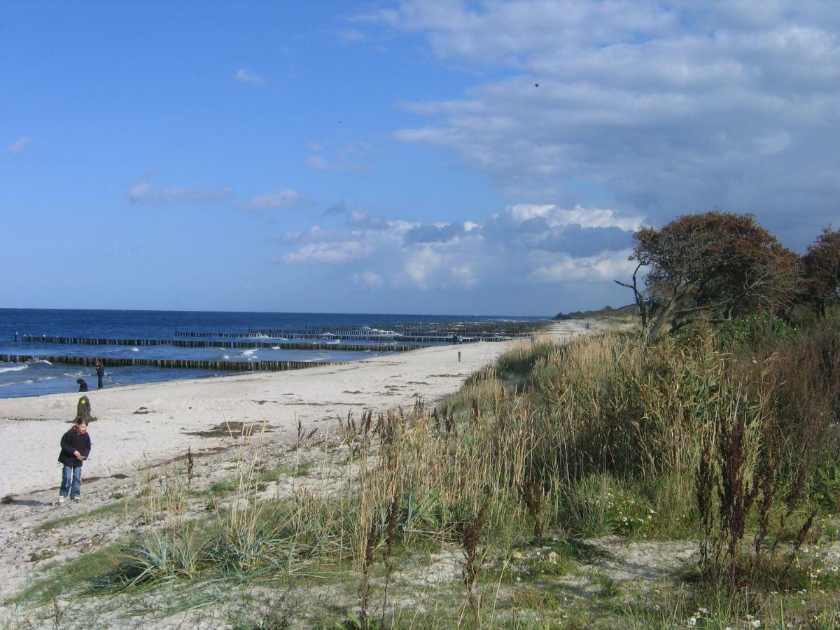 "Strand-Gut" Бёргеренде-Ретвиш Экстерьер фото