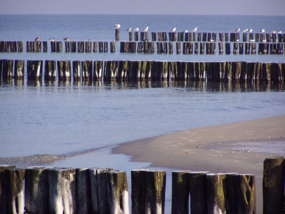 "Strand-Gut" Бёргеренде-Ретвиш Экстерьер фото
